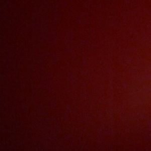 Meet your Posher, Nadine